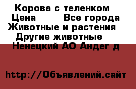 Корова с теленком › Цена ­ 69 - Все города Животные и растения » Другие животные   . Ненецкий АО,Андег д.